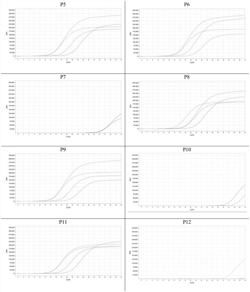 Composition for detecting colorectal cancer and kit and application thereof