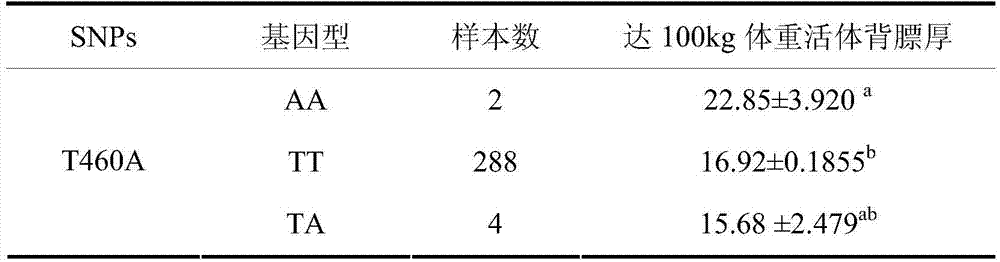 Gene diagnosis kit for identifying back-fat thickness of living pig