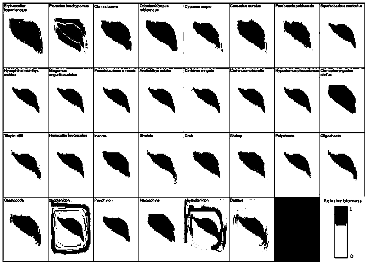 Island ecosystem current situation evaluation and development prediction method based on Ecospace model