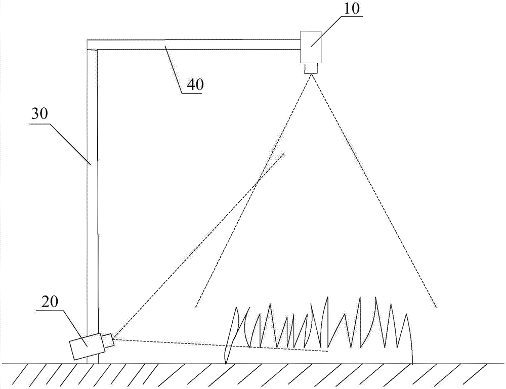 Forage grass observation device and system