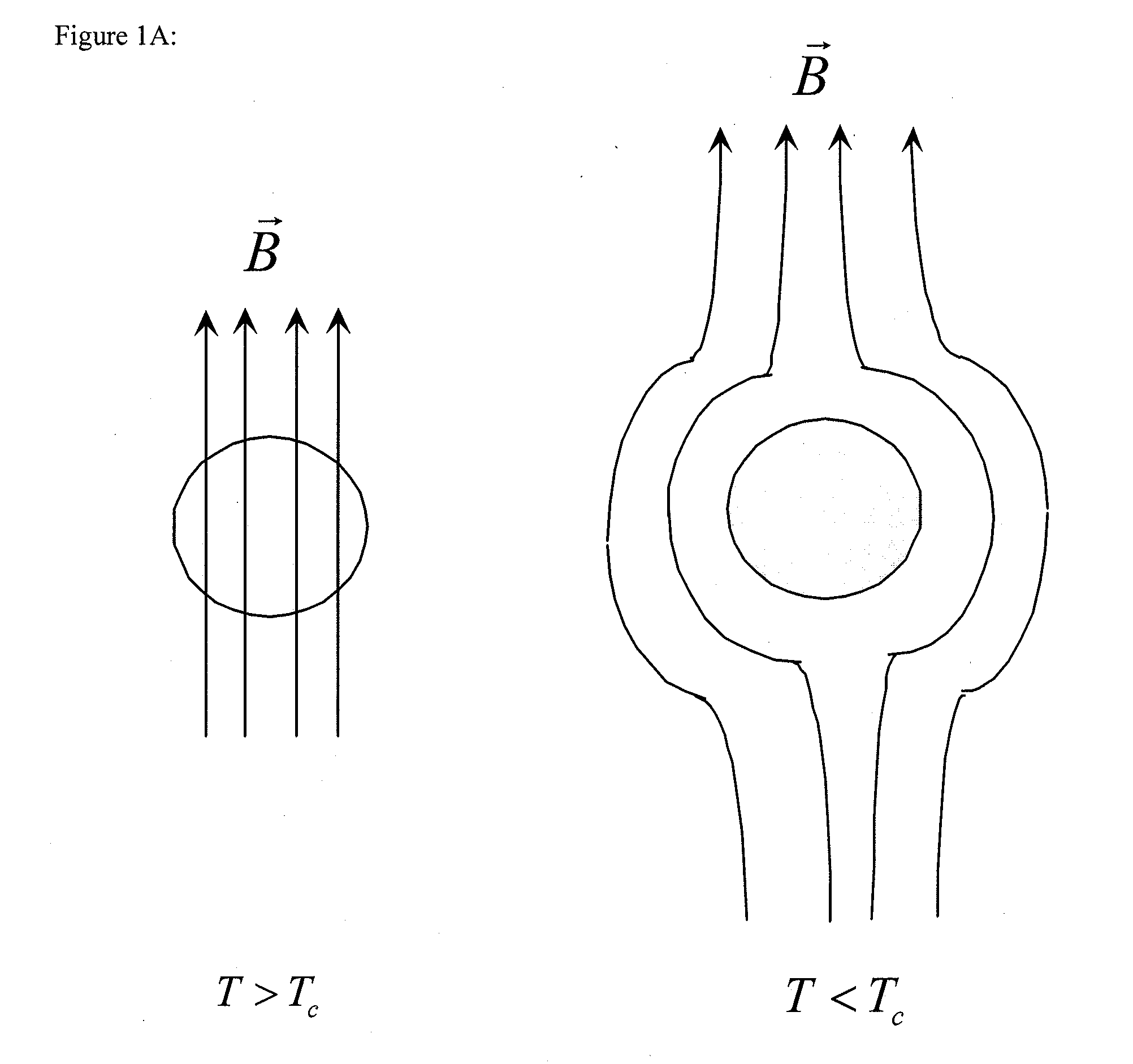 Superconducting rotary motor