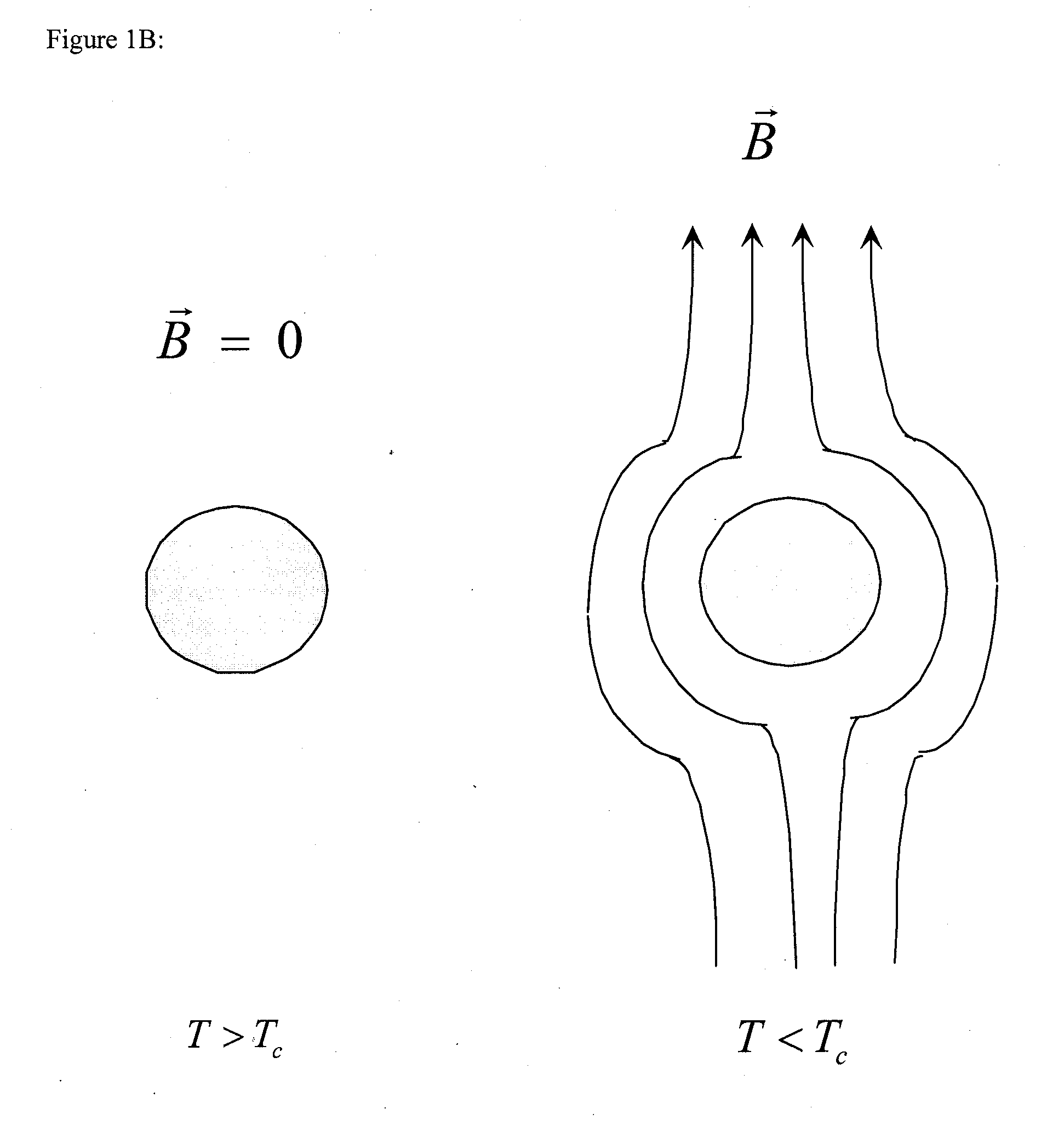 Superconducting rotary motor