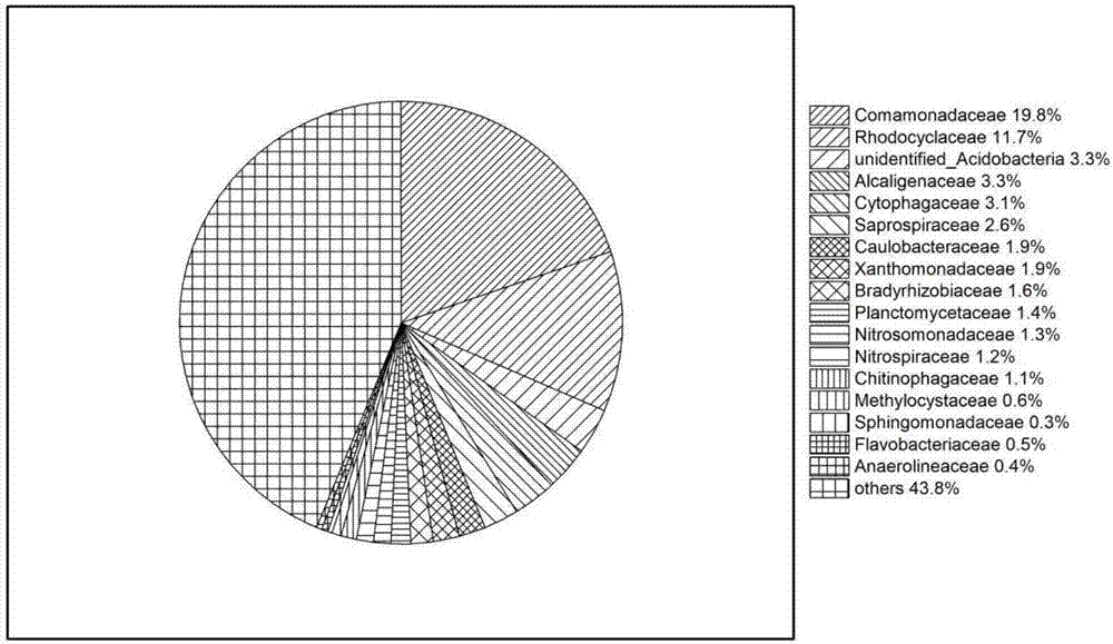 Biological treatment method used for realizing simultaneous removing of carbon and nitrogen in sewage via controlling dissolved oxygen