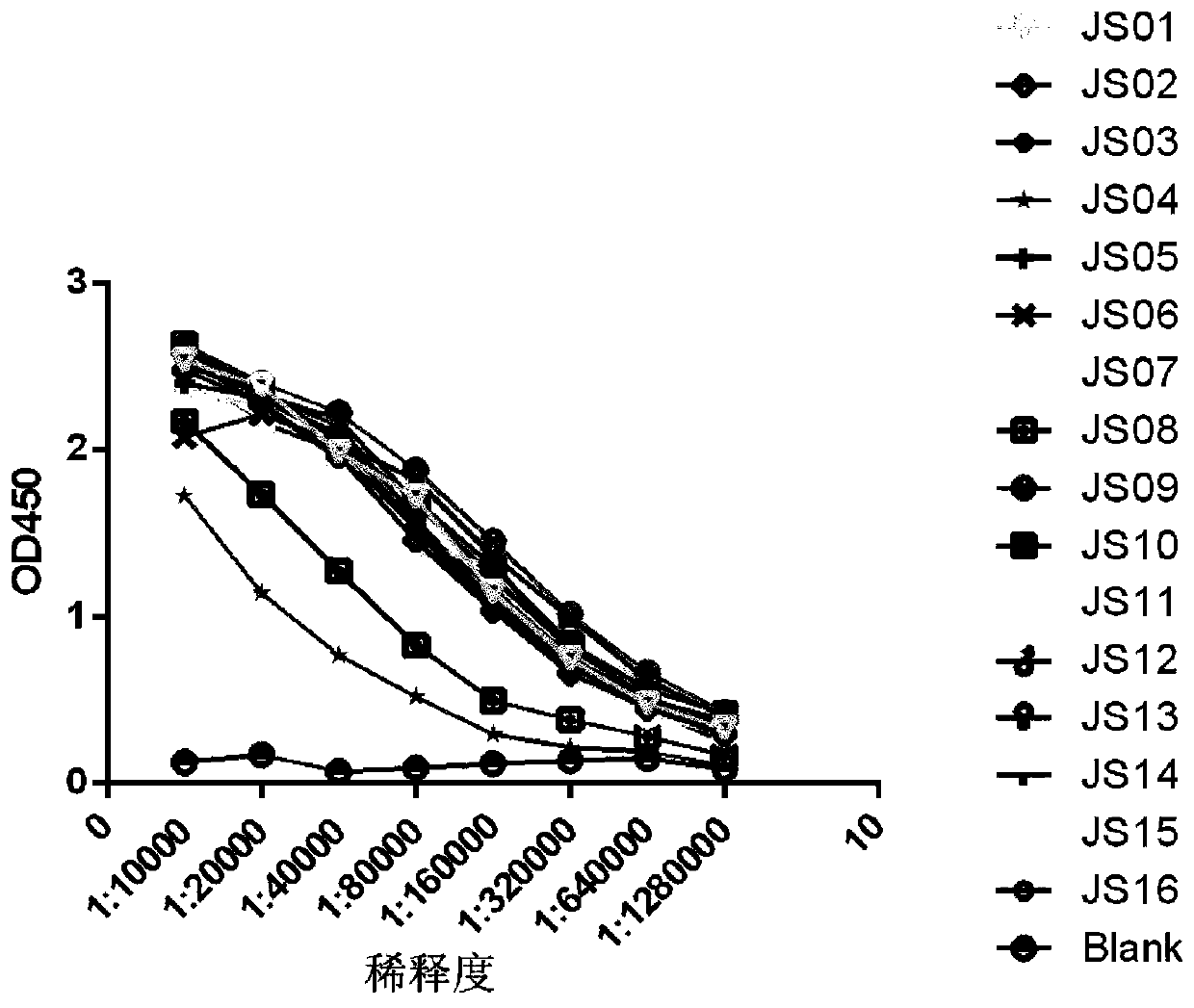 Antibody aiming at novel coronavirus NP protein and detection application thereof