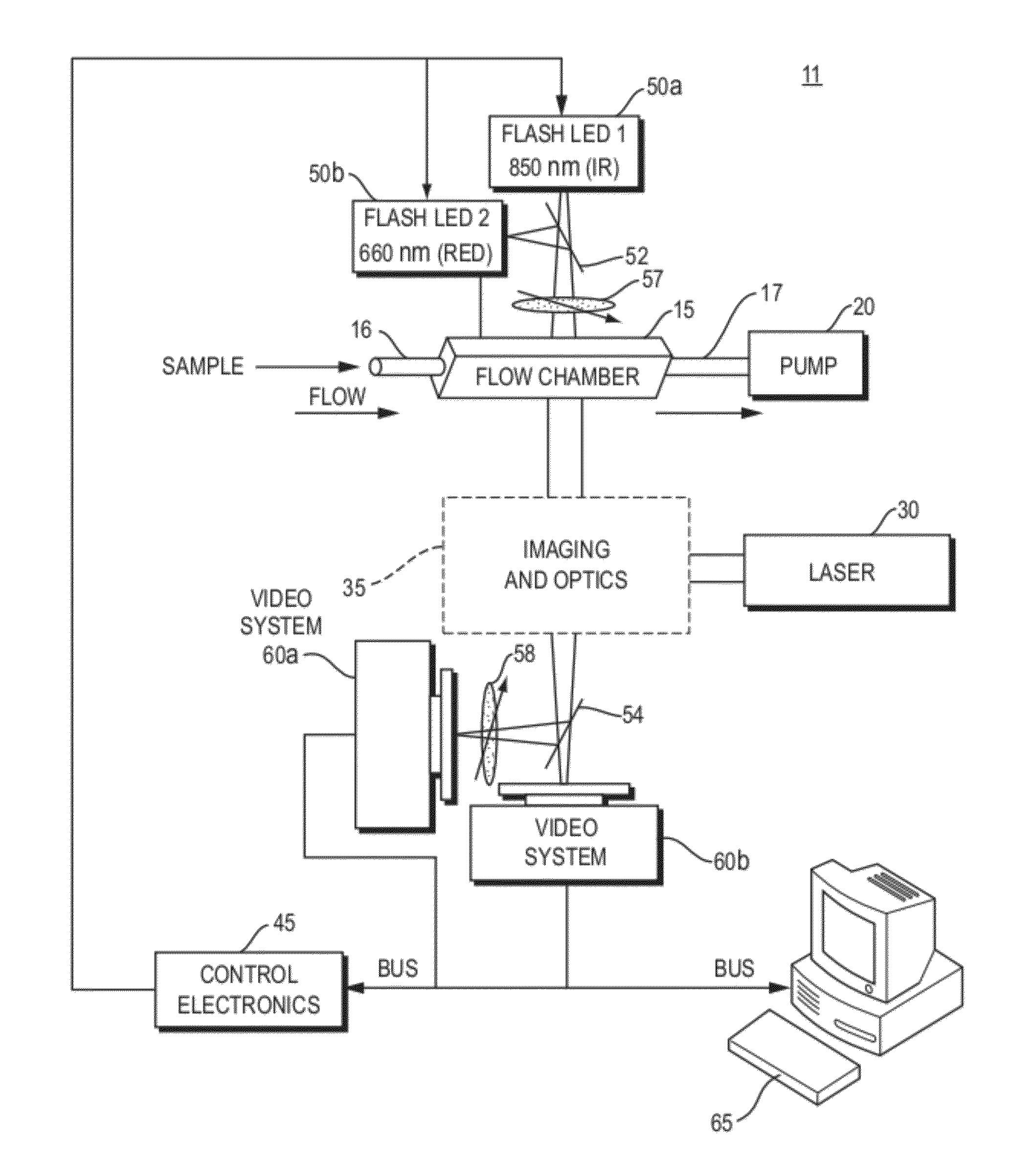 System and method for monitoring birefringent particles in a fluid