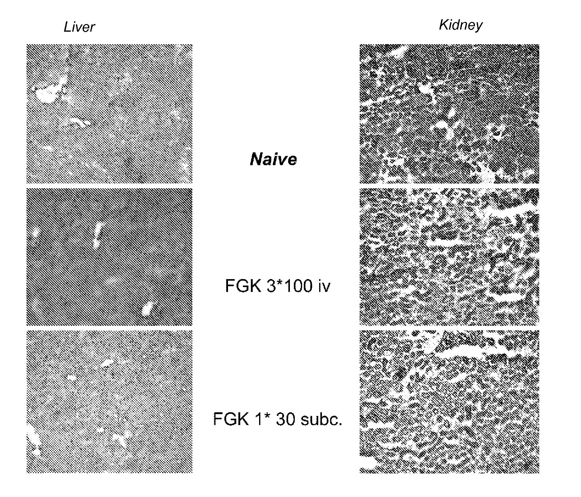 Delivery of a cd40 agonist to a tumor draining lymph node of a subject