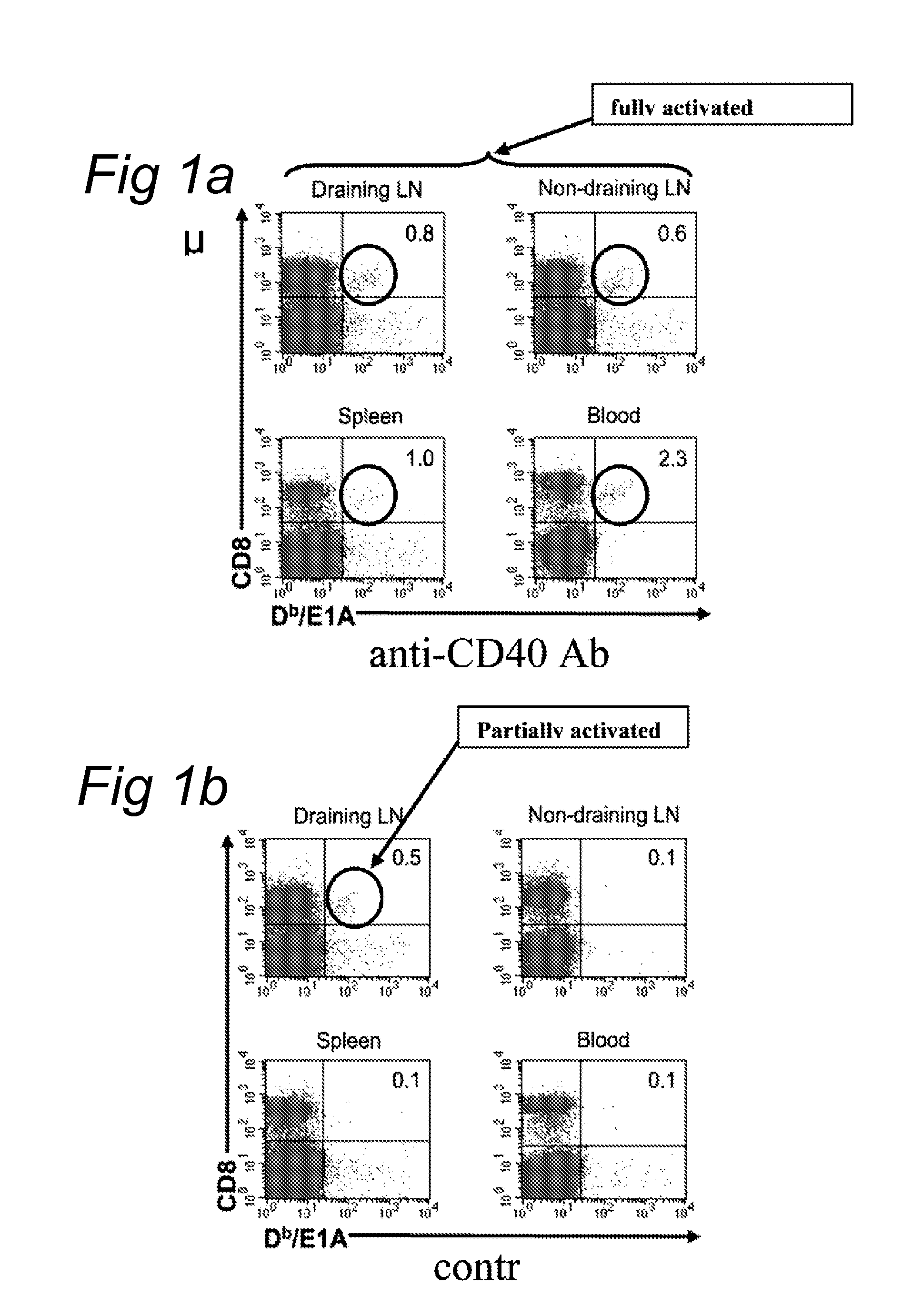 Delivery of a cd40 agonist to a tumor draining lymph node of a subject