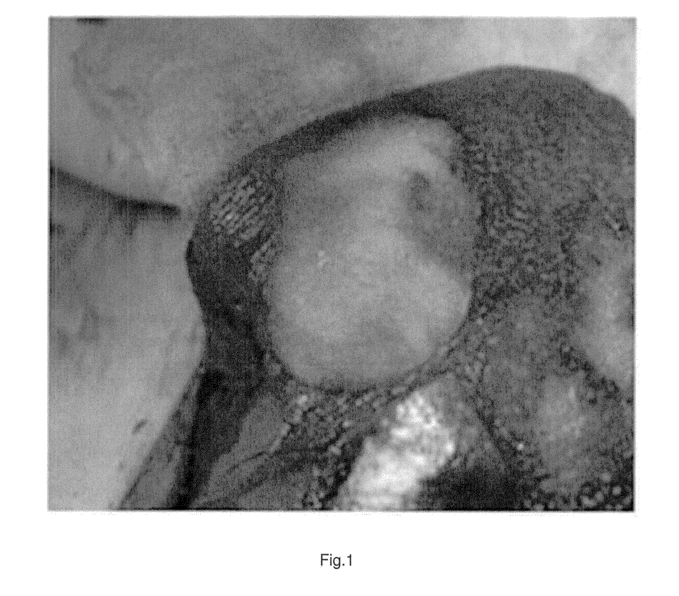 Hemostatic compositions