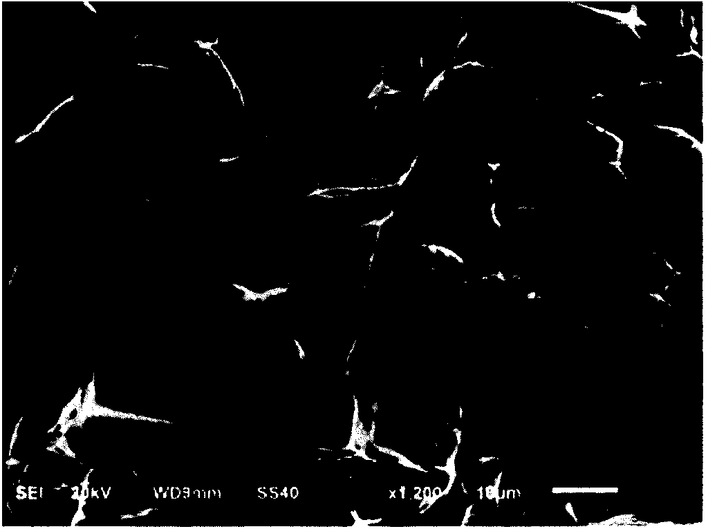 Preparation method of graphene-based light heat-insulating wave-absorbing material