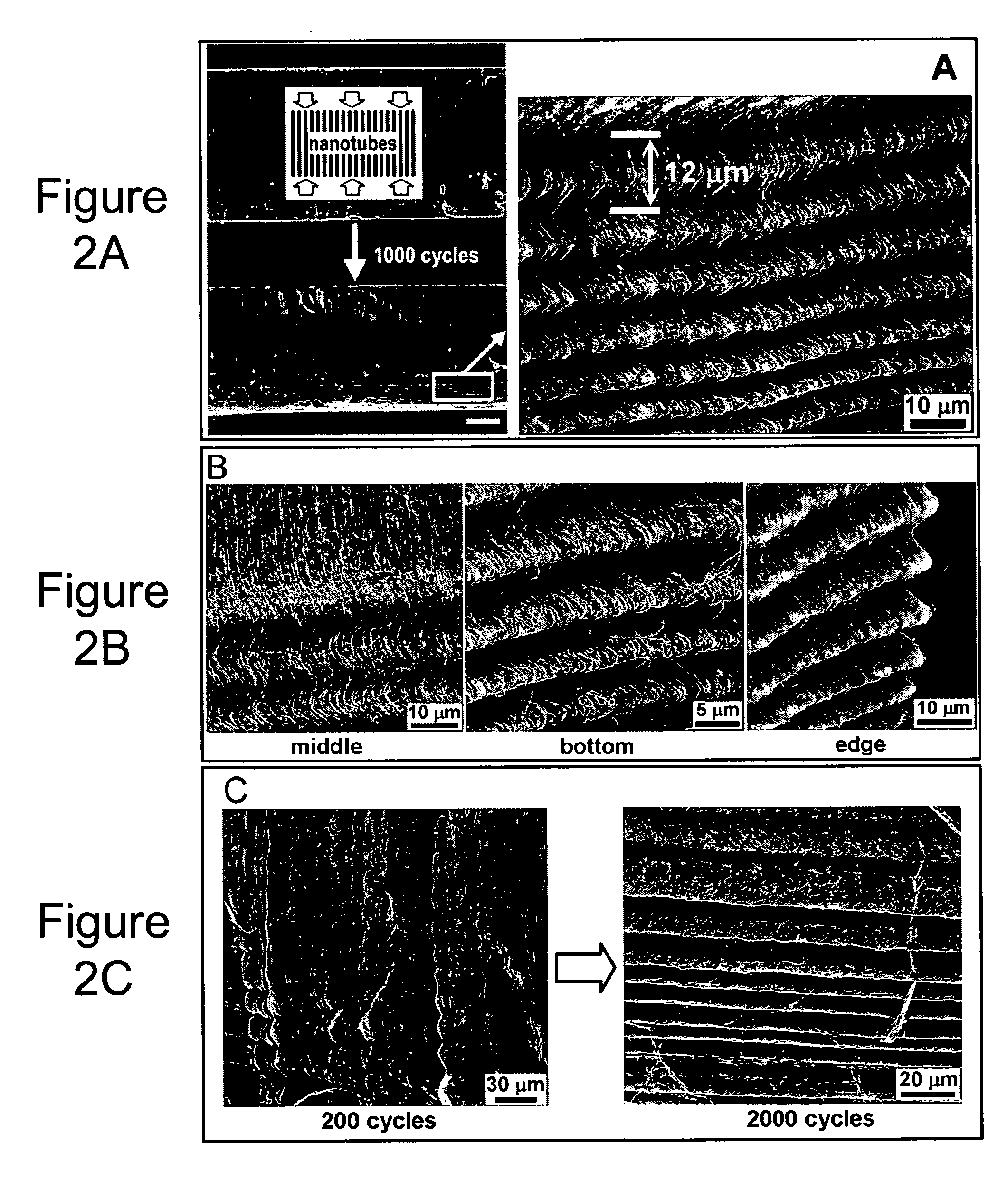 Super-compressible carbon nanotube films and micro-bundles