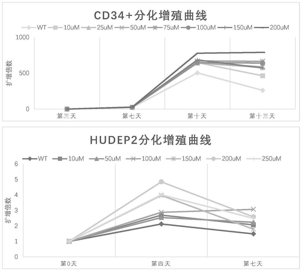 Application of Vc derivative in promoting erythrocyte regeneration and product