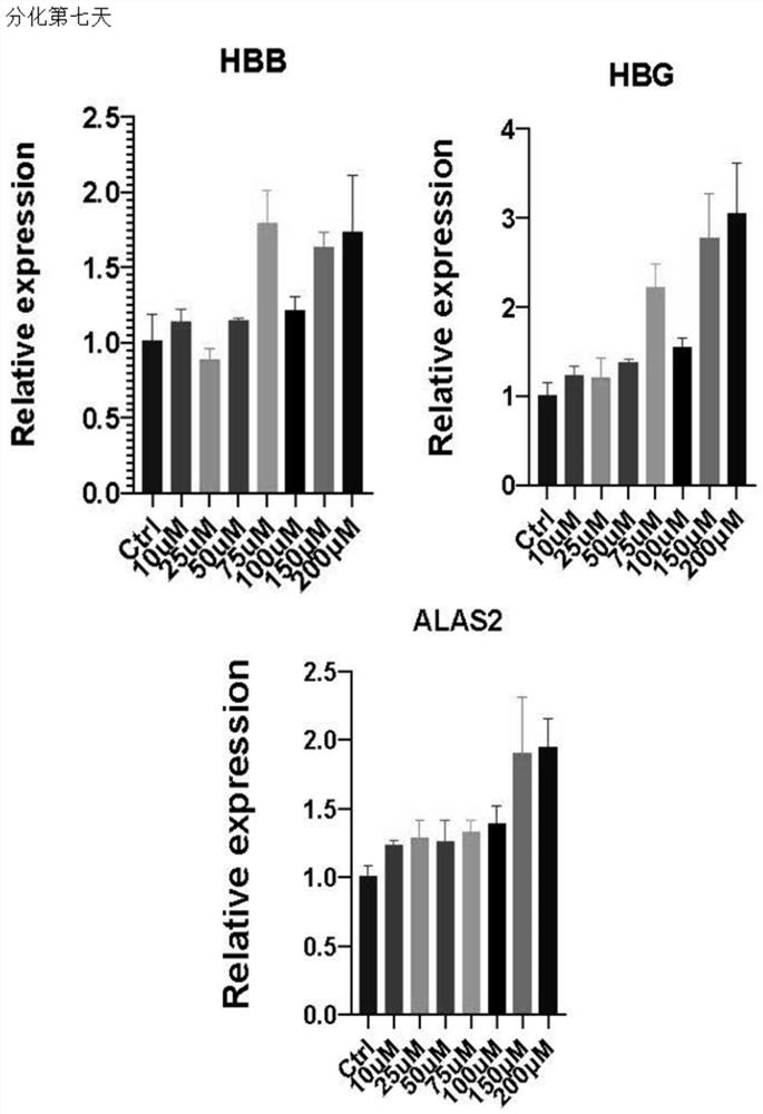 Application of Vc derivative in promoting erythrocyte regeneration and product