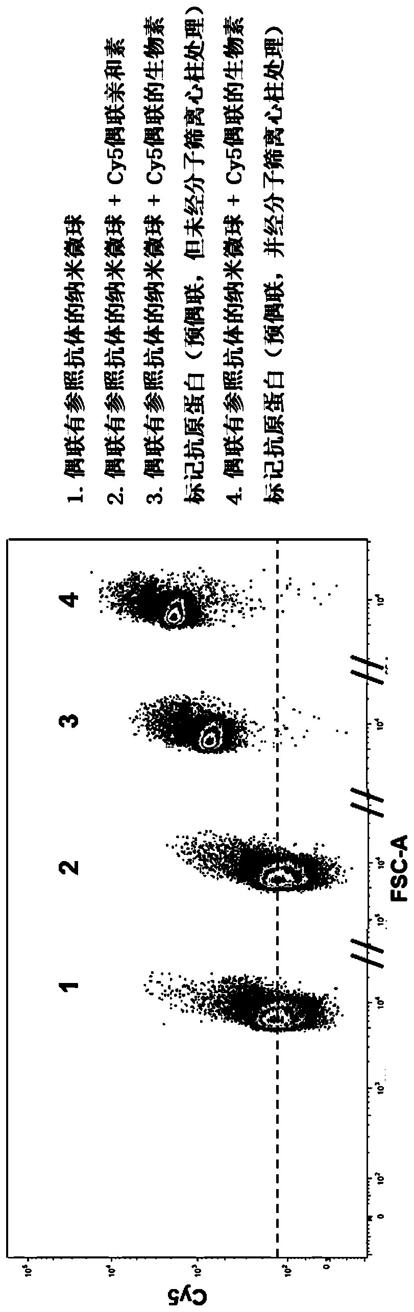 Method for efficiently separating single antigen-specific B lymphocyte from spleen cells