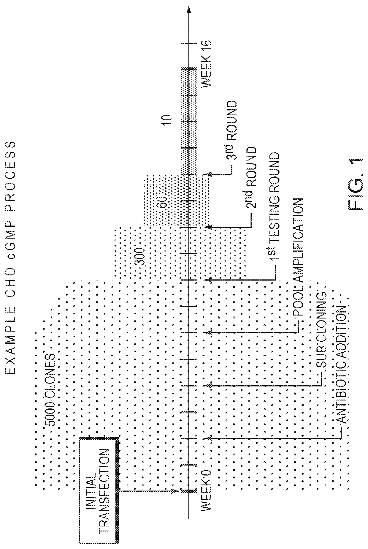 Methods and compositions for use of non-coding RNA in cell culturing and selection