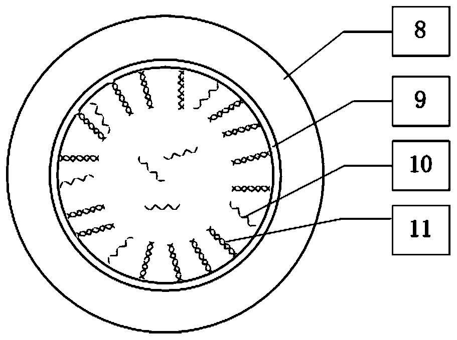 DNA hybridization microfluidic detector based on fiber optic microcavity whispering gallery