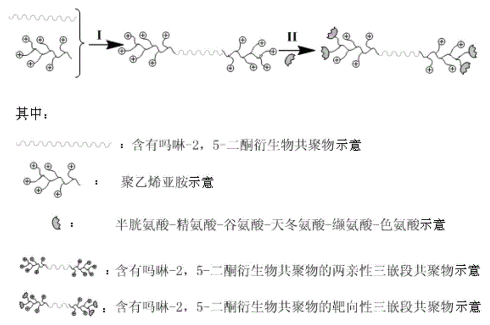 Targeting triblock copolymer containing morpholine-2,5-dione derivative copolymer, preparation method and application