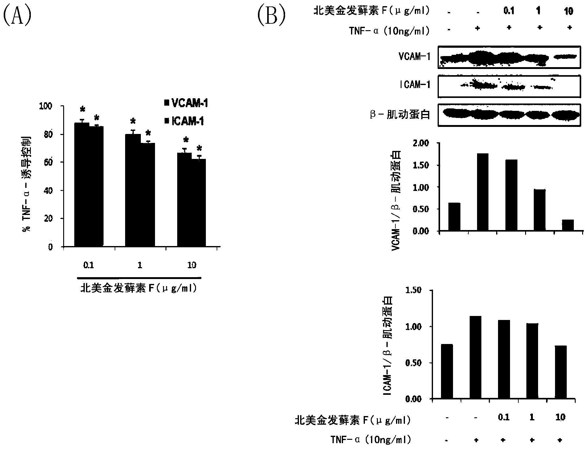 Composition containing ohioensins f as a polytrichastrum alpinum-derived novel compound for preventing or treating arteriosclerosis