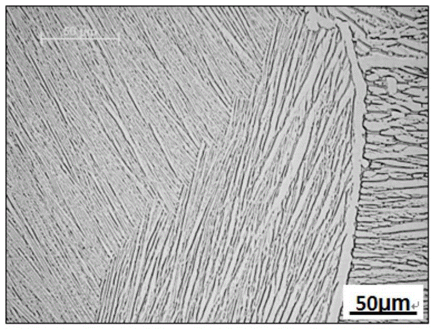 A kind of Widmanstatten titanium alloy with compound lamellar structure and preparation method thereof