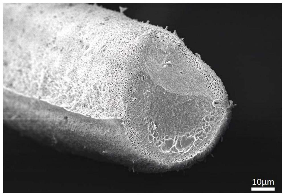 Sponge fiber, preparation method and application