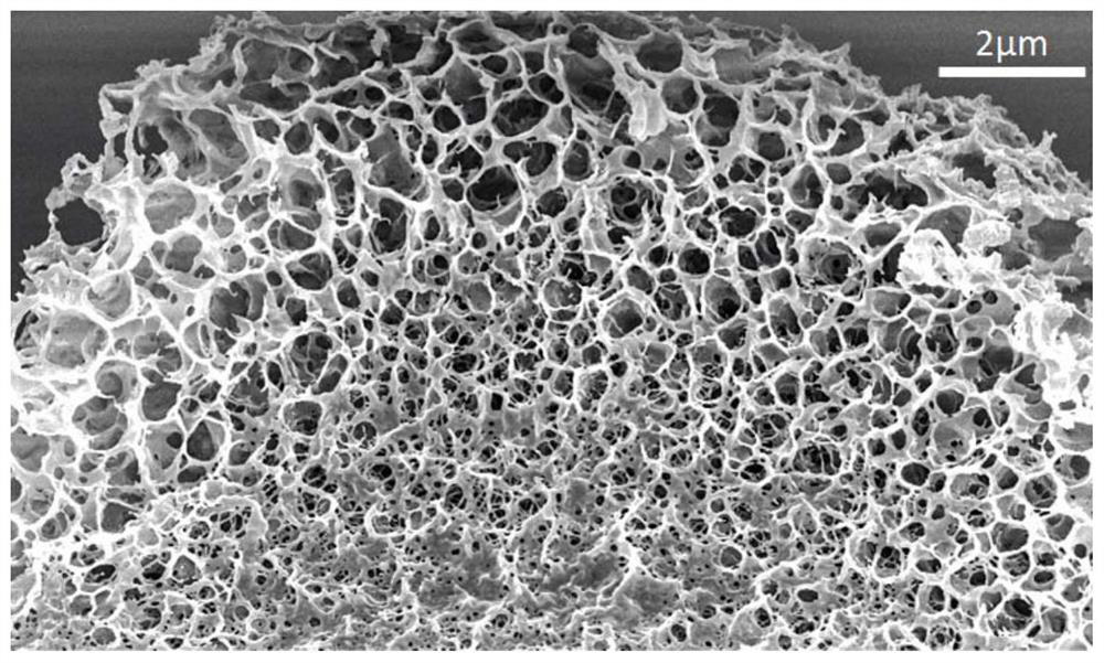 Sponge fiber, preparation method and application