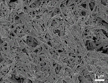 Preparation method of aqueous super-hydrophobic/super-hydrophobic and oileophobic coating