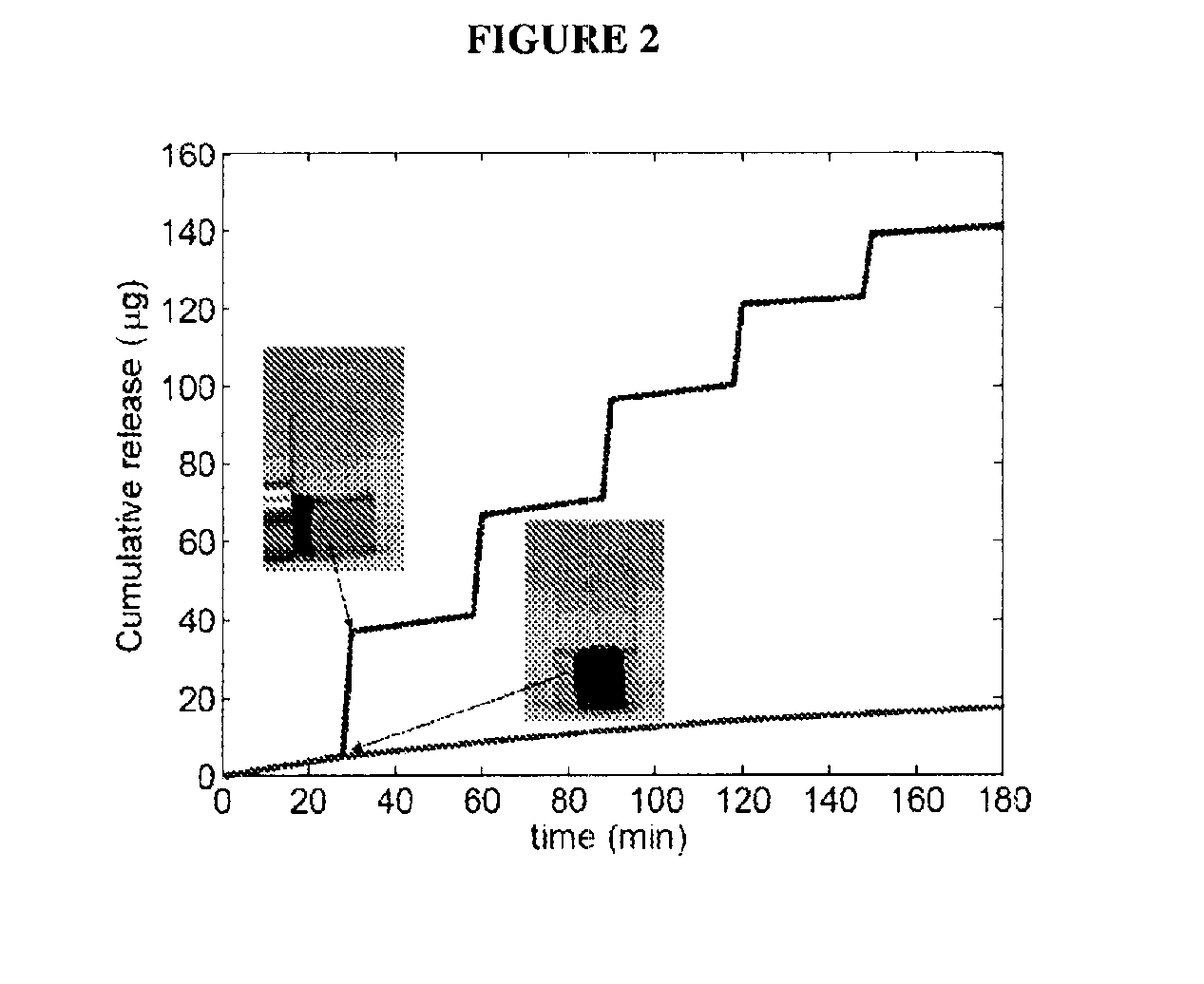 Active scaffolds for on-demand drug and cell delivery