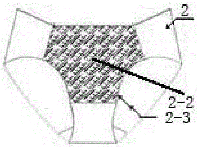 A shaping combined underwear combined with women's menstrual cycle and its wearing method