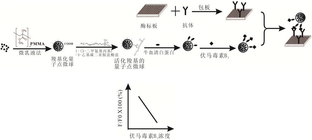 Sensitivity detection method for fumonisin B1