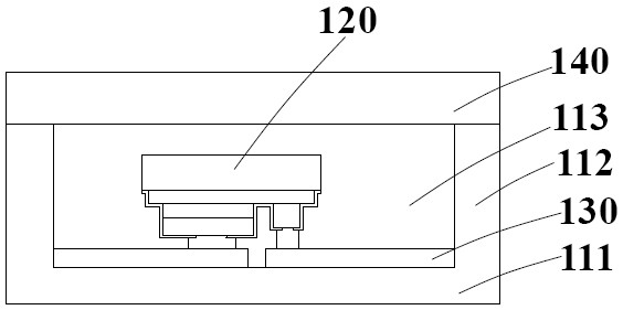 light emitting device