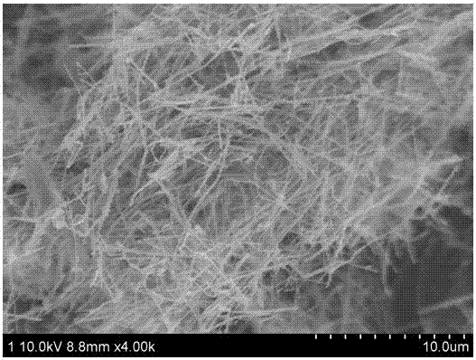 Preparation method and application of copper nanowire graphene composite modified electrode