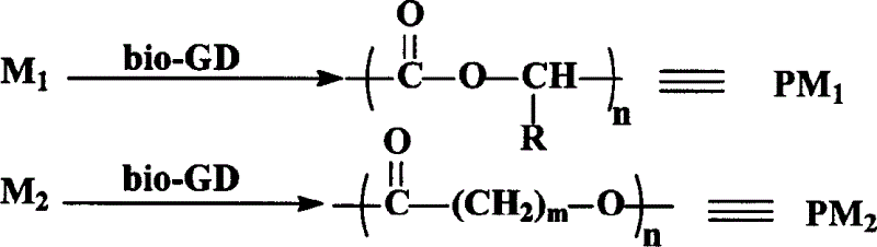 Technological method of catalytic synthesizing medical biodegradable material with biomass organic guanidine compound