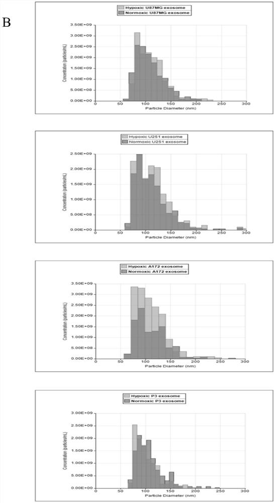 Application of mir-1246 and/or terf2ip in the diagnosis and treatment of glioma