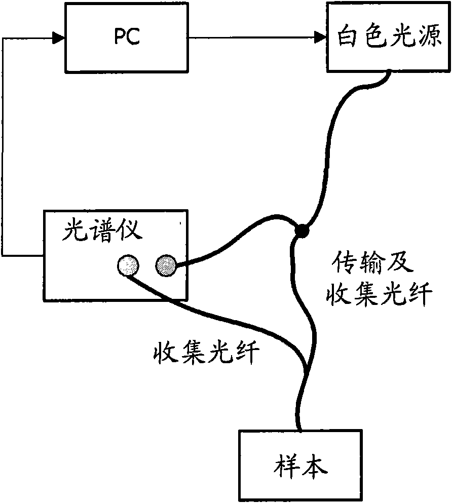 A system, computer-readable medium, method, and use for combined epithelial early cancer diagnosis and staging