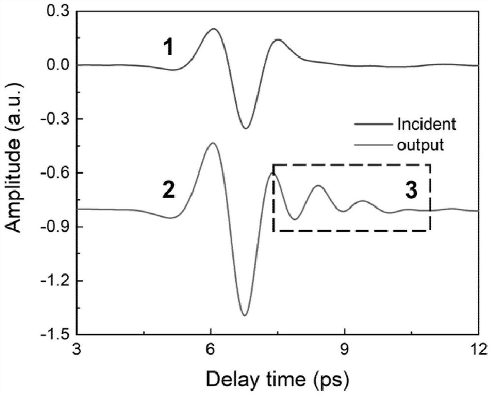 Terahertz generator based on two-dimensional material phonon mode