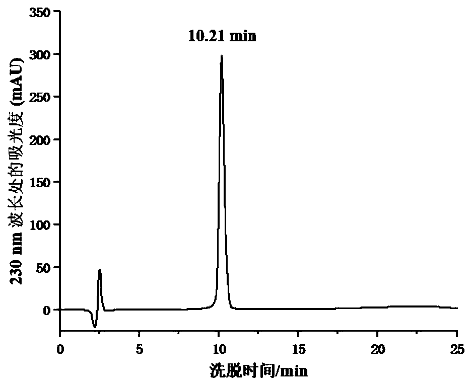 Dimer polypeptide with antibacterial and immunomodulating dual functions and application thereof