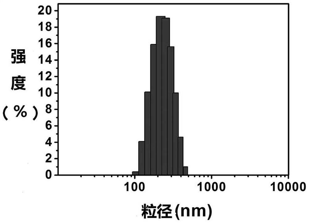 Loaded double-drug nanoparticles and its preparation method and application