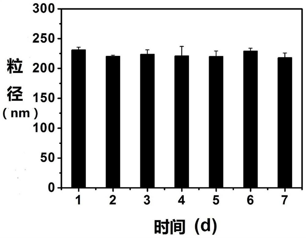 Loaded double-drug nanoparticles and its preparation method and application