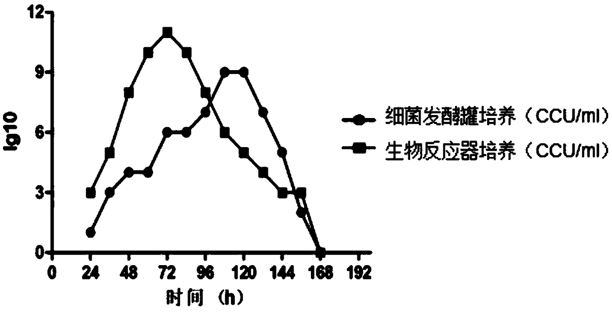 Production method of haemophilus parasuis/mycoplasma hyopneumoniae bivalent inactivated vaccine