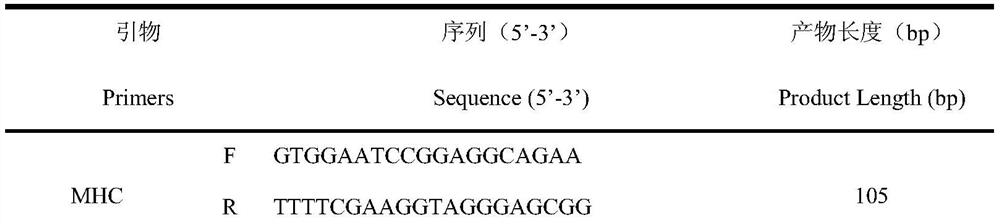 Bovine lncRNA-133a and its application and verification method in the regulation of proliferation and differentiation of bovine skeletal muscle satellite cells