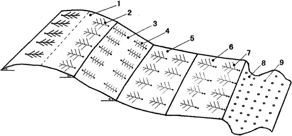 A well layout method for surface pumping and drainage of coalbed methane