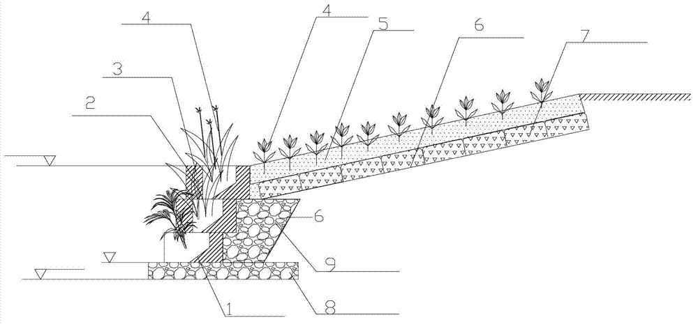 Inland riverbank vegetation buffering and purifying zone