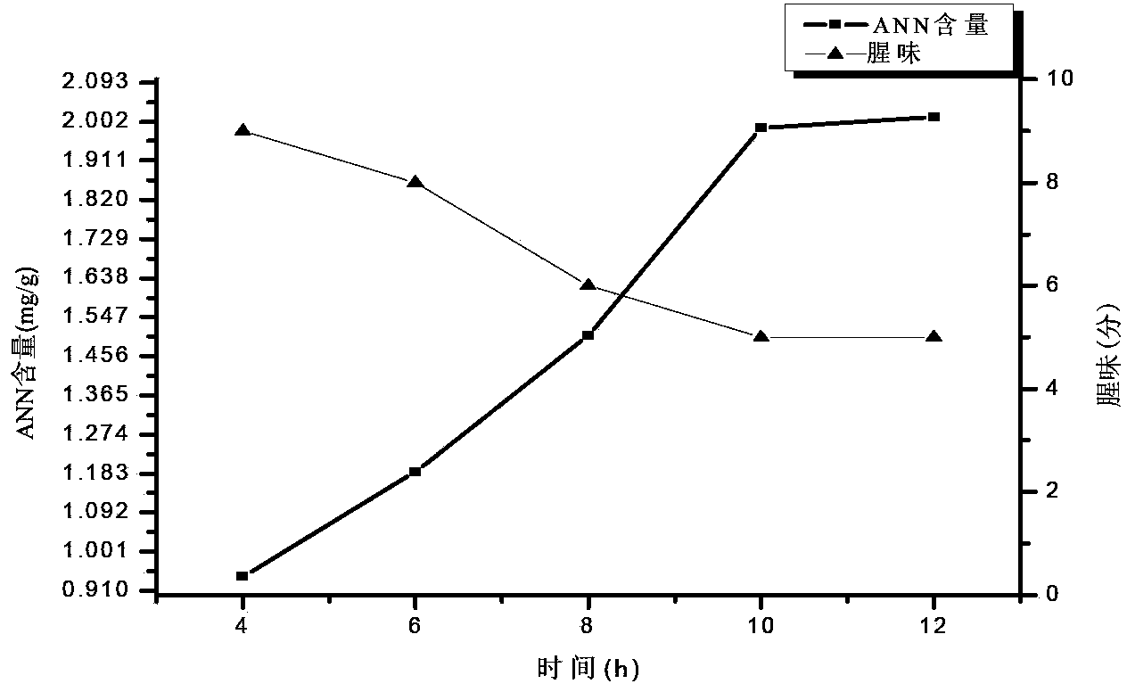 Preparation method of ruditapes philippinarum oligopeptide and application in resisting prostate cancer