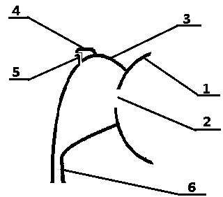 Carry-on overflowed milk recycling device