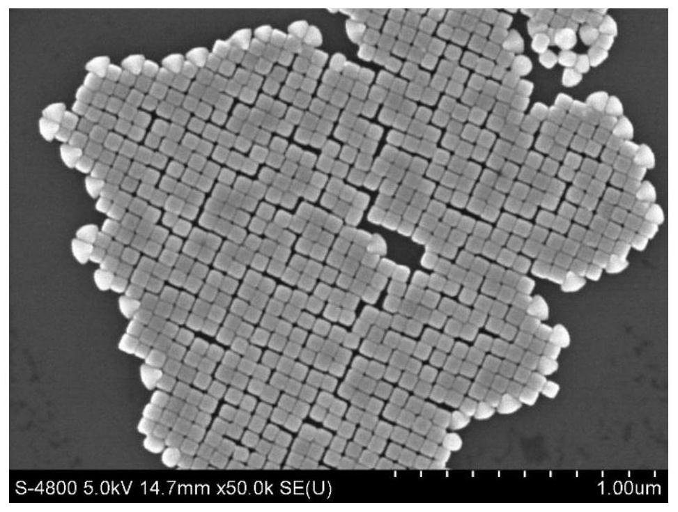 A kind of preparation method of single crystal silver nanosphere aqueous phase