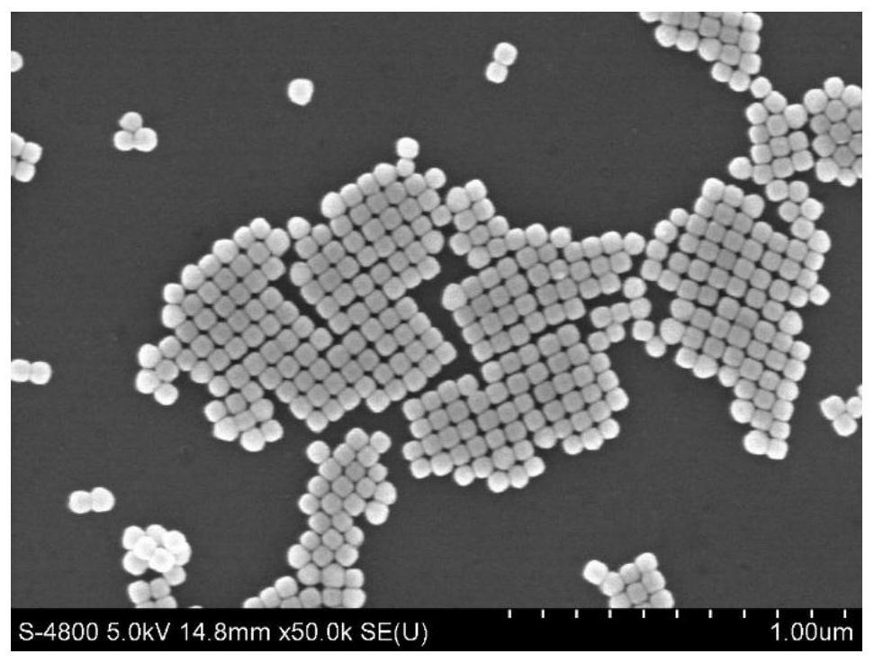 A kind of preparation method of single crystal silver nanosphere aqueous phase