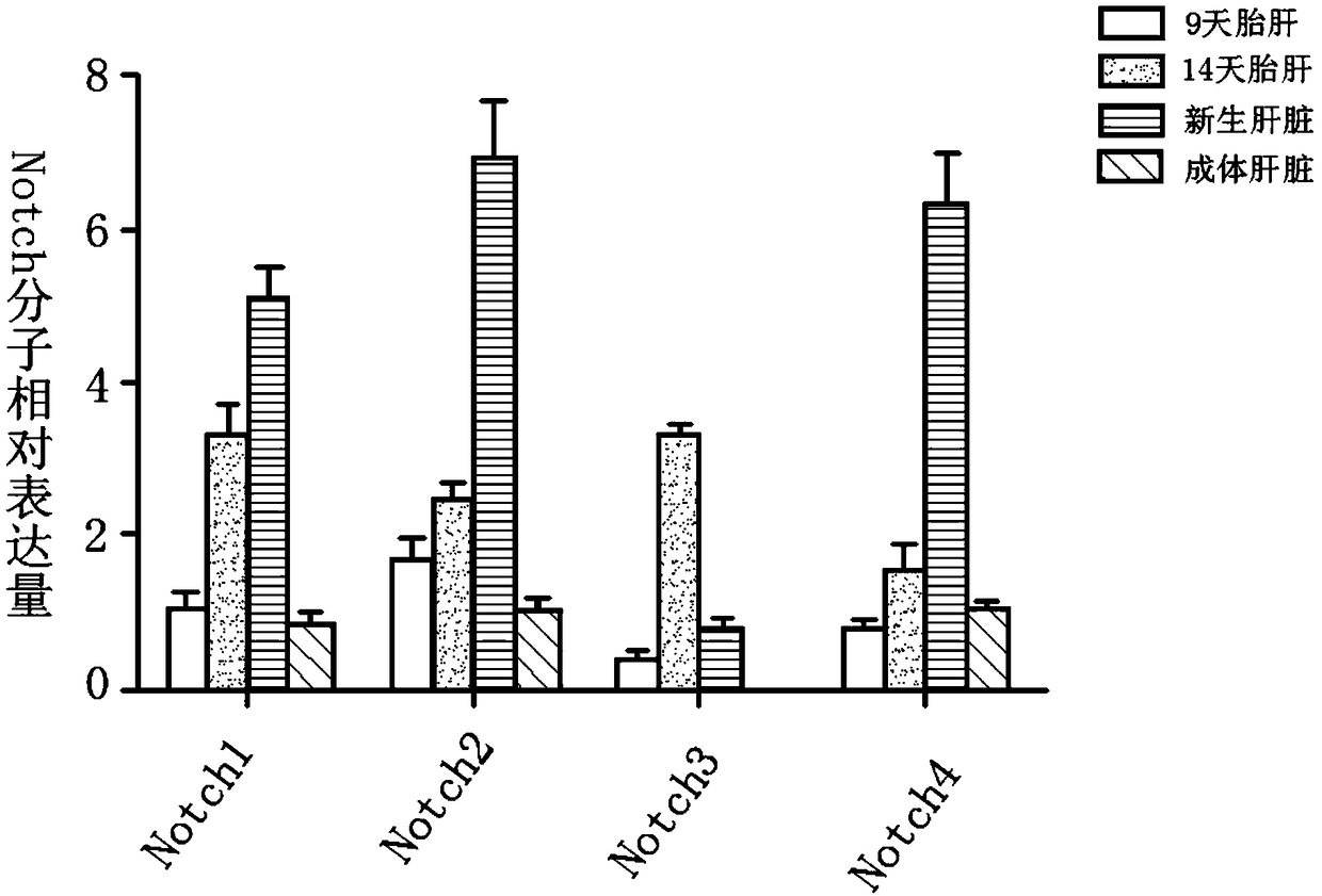 Method for inducing fetal hepatic stem cells to differentiate into mature hepatic cells in three-step sequential mode