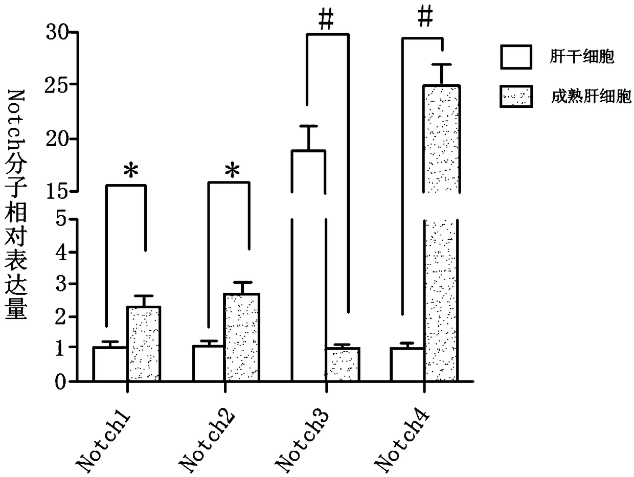 Method for inducing fetal hepatic stem cells to differentiate into mature hepatic cells in three-step sequential mode