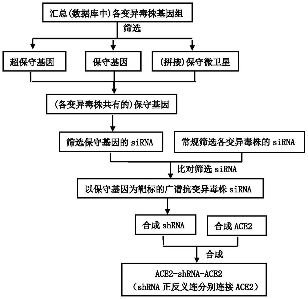 Preparation method of artificial antibody