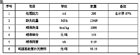 A treatment process combining sludge drying and gasification