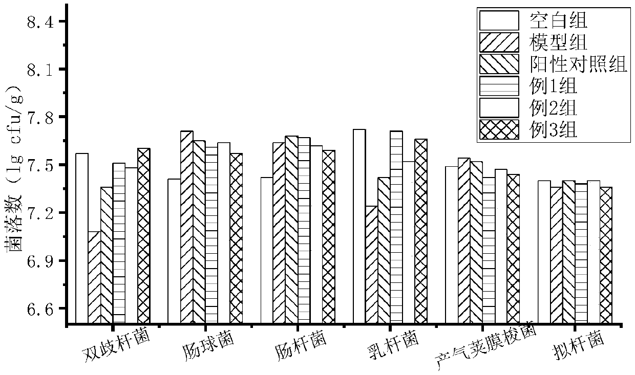 Probiotic solid drink with diarrhea relieving function and preparation method of probiotic solid drink